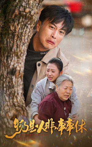 物是人非事事休(41集) 物是人非事事休(41集)番茄短剧免费看