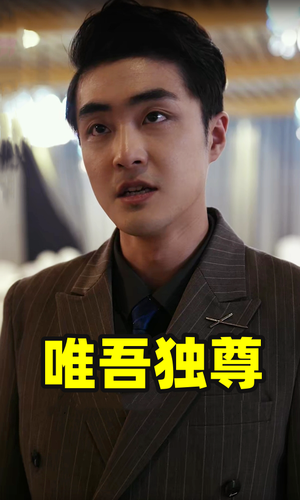 唯吾独尊（96集）精彩的网络短剧