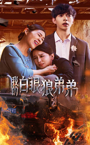 我的白眼狼弟弟(69集) 我的白眼狼弟弟(69集)甜宠短剧追到爽