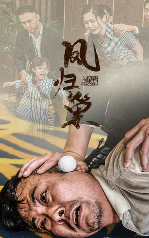 新版:凤归巢(68集) 新版:凤归巢(68集)大结局太过瘾了