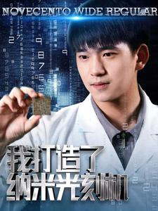 我打造了纳米光刻机（76集）爱上了这部剧了