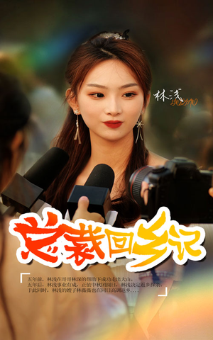 总裁回乡记(67集) 总裁回乡记(67集)番茄短剧免费看