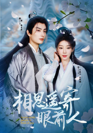 相思遥寄眼前人（83集）抢先看热门短剧