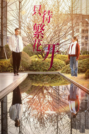 只待繁花开（35集）战神短剧推荐