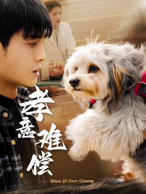 孝意难偿(32集) 孝意难偿(32集)短剧热播中