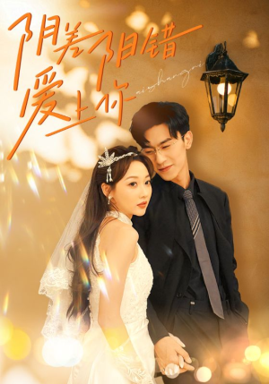 阴差阳错爱上你（62集）完整版