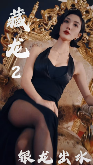 藏龙2银龙出水(35集) 藏龙2银龙出水(35集)女主角是谁