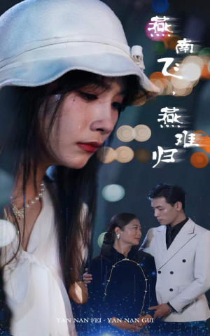 燕南飞，燕难归（31集）短剧追到爽