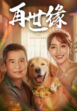 再世缘(41集) 再世缘(41集)好看短剧分享