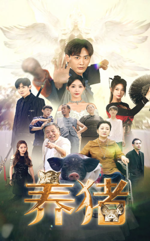 养猪（74集）贝贝短剧分享