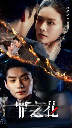 罪之花（56集）在线观看完整版
