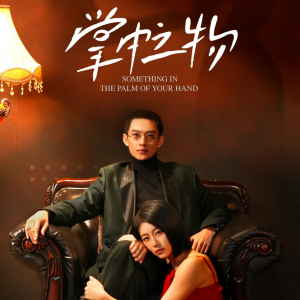 掌中之物（62集）在哪个平台看