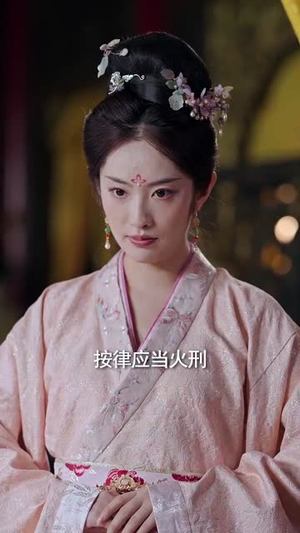 深宫昭雪录(52集) 深宫昭雪录(52集)流畅播放免费看