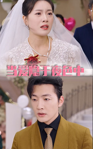 当爱隐于夜色中（37集）热门短剧看不停