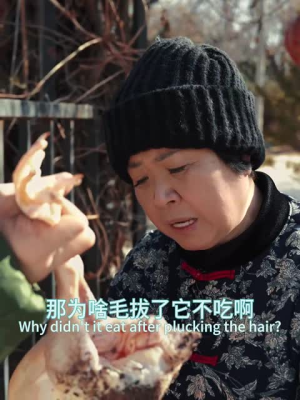 狐仙（30集）好看的国产短剧