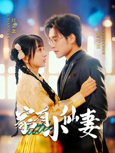 家有小仙妻(101集) 家有小仙妻(101集)精彩短剧合集