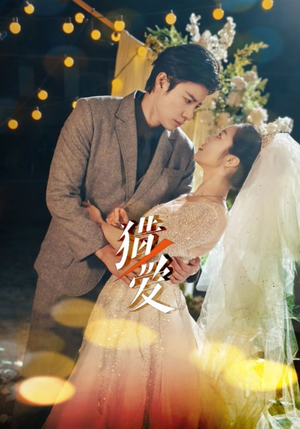 猎爱（54集）在哪里可以全集