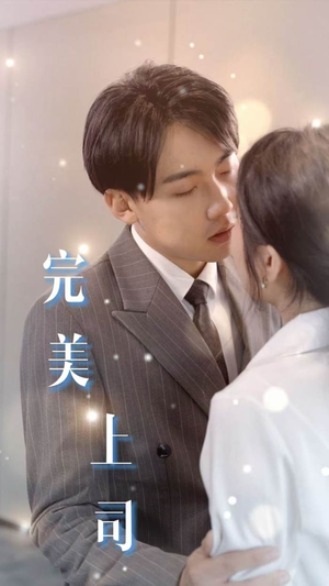 完美上司（30集）百度在线观看