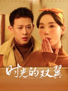 时光的双翼（94集）全集在线看
