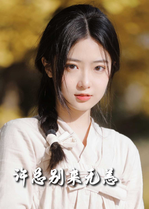 许总别来无恙(50集) 许总别来无恙(50集) 全集