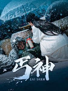 丐神（90集） 红果免费短剧