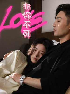 非你不可（48集） 第一季