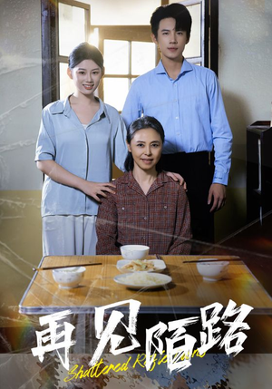 再见陌路（39集） 真的好看吗