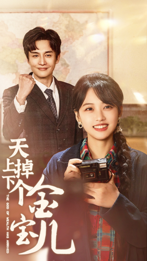 天上掉下个金宝儿(70集) 天上掉下个金宝儿(70集) 经典老剧免费看