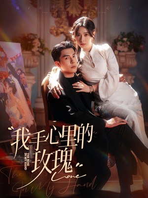 我手心里的玫瑰（91集） 短剧每日分享