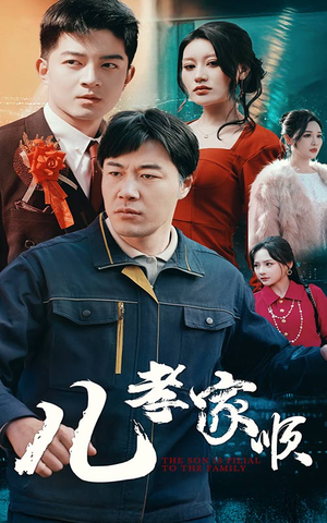 儿孝家顺（78集） 夸克网盘观看