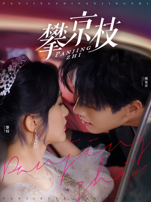 攀京枝（80集） 热门短剧来袭