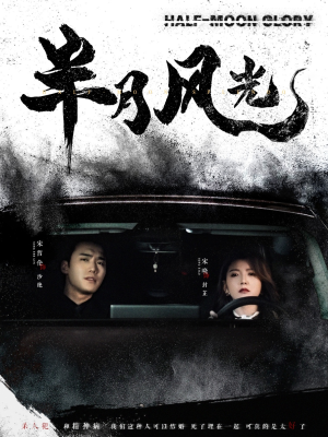 半月风光（100集） 全集免费