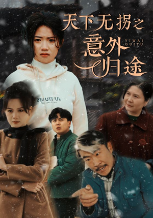 天下无拐之意外归途（61集） 无需会员轻松看