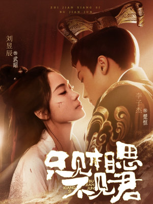 只见相思不见君（82集） 一口气追完全集