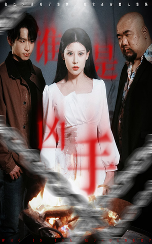 谁是凶手（31集） 短剧精彩不断