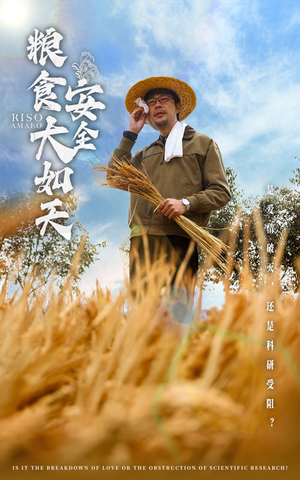 粮食安全大如天(43集) 粮食安全大如天(43集) 分享热门短剧