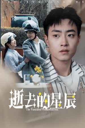 逝去的星辰（31集） 网盘在线观看