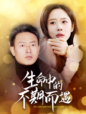 生命中的不期而遇(35集) 生命中的不期而遇(35集) 在哪看