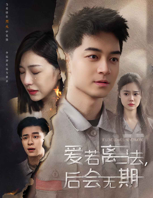 爱若离去，后会无期（70集）热播短剧全集看