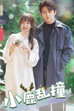 小鹿乱撞（40集） 超好看的短剧