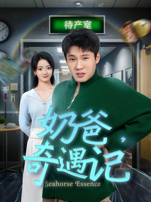 奶爸奇遇记(60集) 奶爸奇遇记(60集) 免费看全集