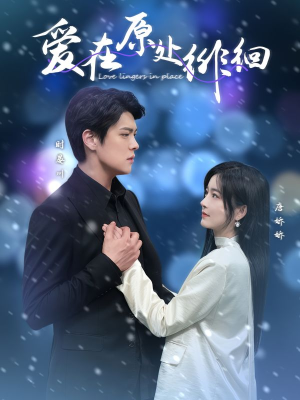 爱在原处徘徊(30集) 爱在原处徘徊(30集) 热门短剧在线看