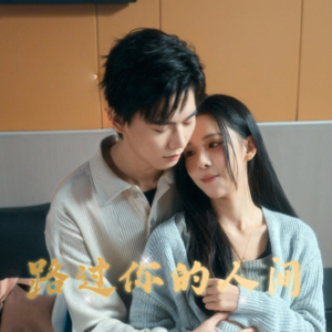 路过你的人间（31集）演员表