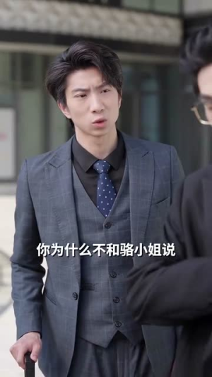 傅总请别纠缠不休（72集）80到100集