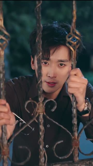 三个女人一台戏(77集) 三个女人一台戏(77集)直接追到结尾