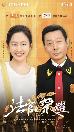 法官的荣耀(5集全) 法官的荣耀(5集全)全集免费