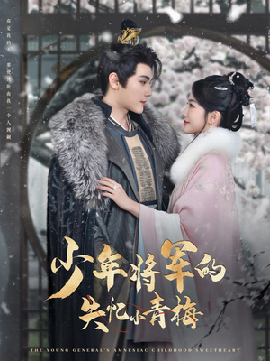 少年将军的失忆小青梅（100集）精彩短剧分享