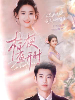 她的小桔梗（92集）超好看古装短剧