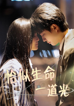 恰似生命一道光(60集) 恰似生命一道光(60集) 追风的女孩短剧