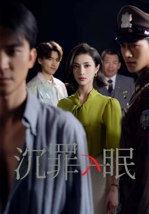 现在开庭(33集) 现在开庭(33集) 爱上了这部剧了